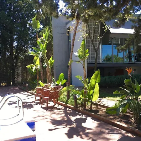 Loft Surrounded By Nature Next To Seville With Swimming Pool And Parking